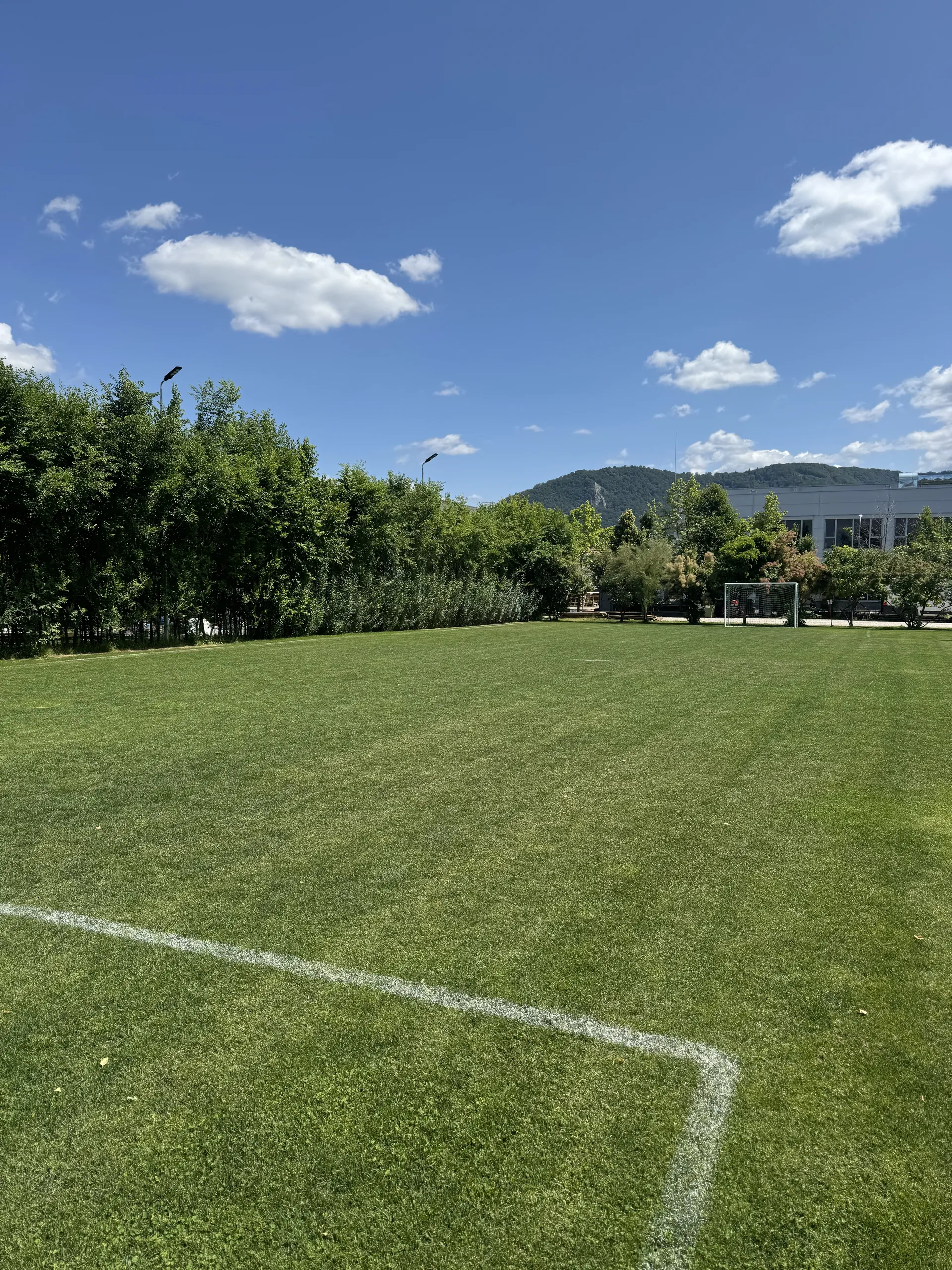 Padel Court — Panoramic View